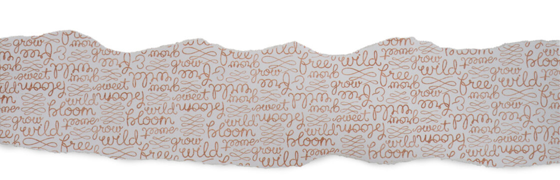 Papier podarty, komunikat, podarta krawędź papieru, podarte kartki  wyizolowana png