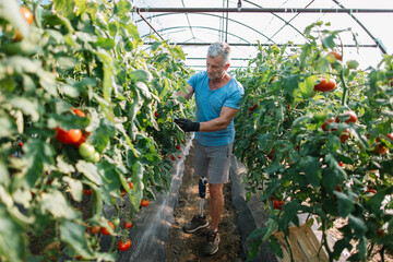 Active amputee gardener working in the greenhouse