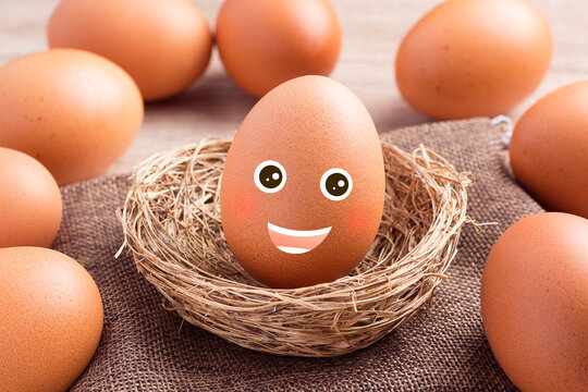 Happy eggs in the straw