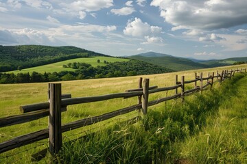 fence in the field