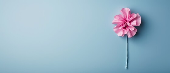 Obraz premium A pink flower on a blue background with a long, tapered stem