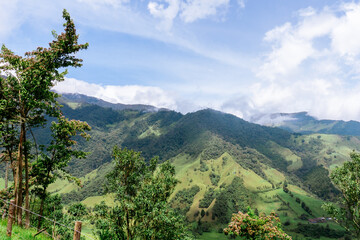 Fototapeta premium Beautiful scenery of the Cocora Valley in Colombia. Trips and beautiful towns. Wax palm tree.