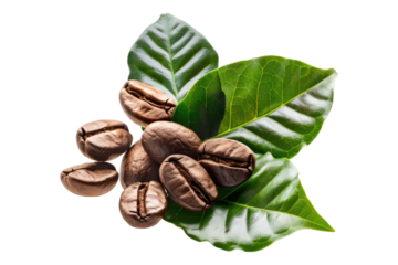 Coffee beans with leaf isolated on transparent background