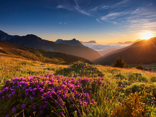 Obraz premium spring in the mountains