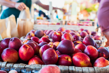 Ripe nectarines on farm food market Lucca in Italy