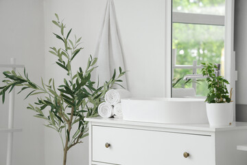 Interior of stylish modern bathroom with commode and decorative olive tree