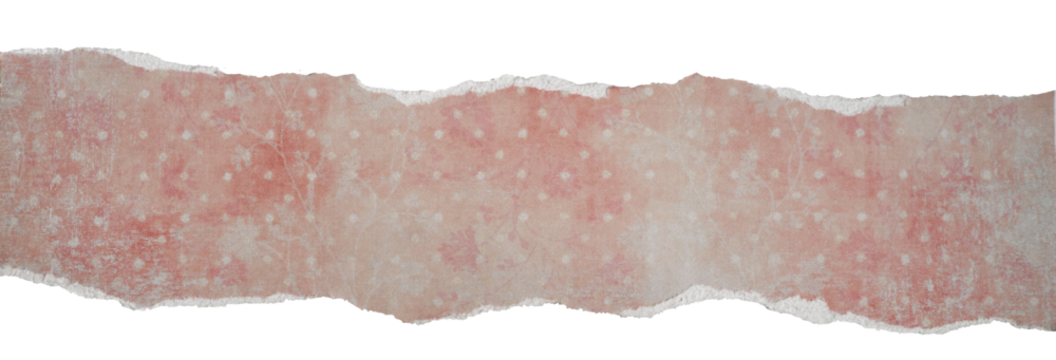 Papier podarty, komunikat, podarta krawędź papieru, podarte kartki  wyizolowana png