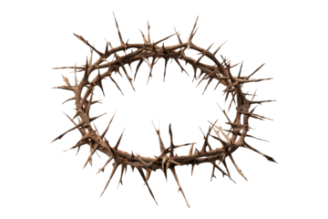 Crown of thorns isolated on transparent background