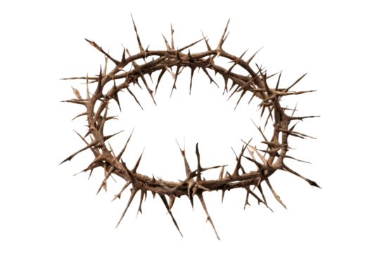 Crown of thorns isolated on transparent background