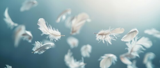 Soft white feathers float in a dreamy blue light, creating a gentle and ethereal atmosphere.