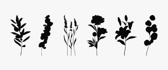 Collection of botanical silhouette element vector. Set of tropical plant, wildflower, rose, lily flower, eucalyptus leaves. Hand drawn of botanical for decor, website, graphic, decorative.
