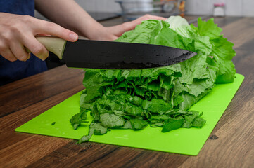 Zielona sałata rzymska liście krojone do sałatki z bliska 