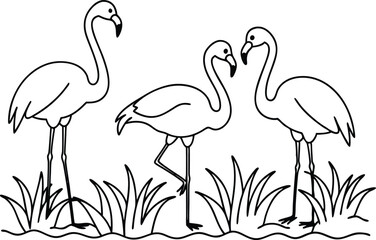 flamingos group standing in a wetland line art vector illustration, tropical bird flamingo line drawing	
