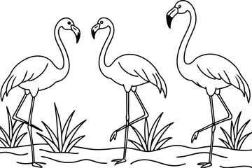 flamingos group standing in a wetland line art vector illustration, tropical bird flamingo line drawing	
