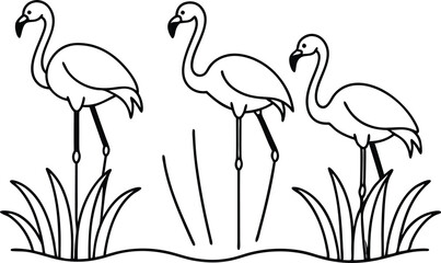flamingos group standing in a wetland line art vector illustration, tropical bird flamingo line drawing	
