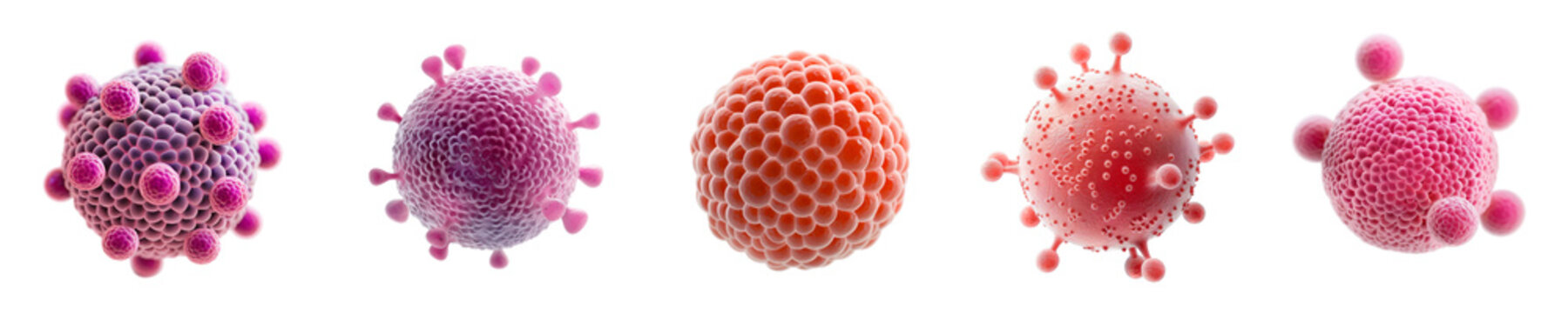 set bacteries with chlamydia is isolated on a transparent background. Microbiology, the study of microorganisms, infections, bacteria