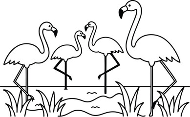 flamingos group standing in a wetland line art vector illustration, tropical bird flamingo line drawing	
