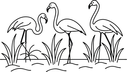 flamingos group standing in a wetland line art vector illustration, tropical bird flamingo line drawing   © Trendy CraftSVG 