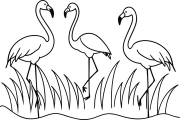 flamingos group standing in a wetland line art vector illustration, tropical bird flamingo line drawing	
