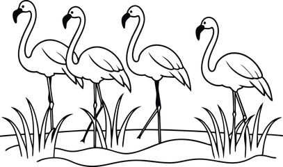 flamingos group standing in a wetland line art vector illustration, tropical bird flamingo line drawing	
