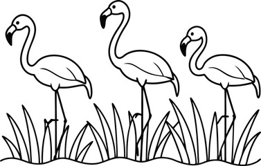flamingos group standing in a wetland line art vector illustration, tropical bird flamingo line drawing	
