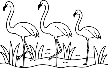 flamingos group standing in a wetland line art vector illustration, tropical bird flamingo line drawing	
