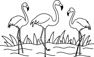 flamingos group standing in a wetland line art vector illustration, tropical bird flamingo line drawing	

