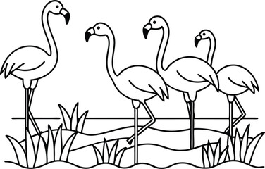 flamingos group standing in a wetland line art vector illustration, tropical bird flamingo line drawing	
