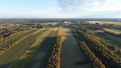 Green forest and open fields captured in aerial summer view © AlexGo