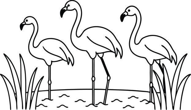 black and white flamingos standing in water clip art preview