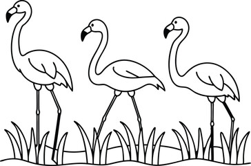 flamingos group standing in a wetland line art vector illustration, tropical bird flamingo line drawing	
