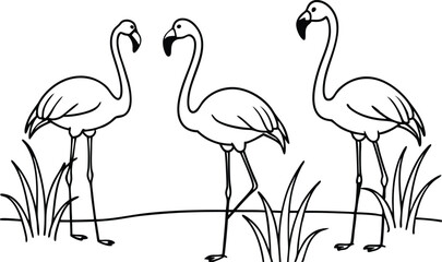 flamingos group standing in a wetland line art vector illustration, tropical bird flamingo line drawing	
