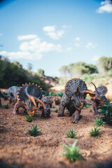 Triceratops Migration: A Herd on the Move © J.M. Tornero