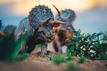 Triceratops Migration: A Herd on the Move