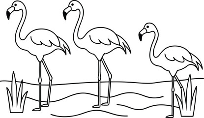 flamingos group standing in a wetland line art vector illustration, tropical bird flamingo line drawing	
