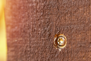 Hex bolt in wooden board macro view for woodworking