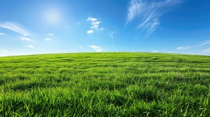 Fototapeta premium Lush green meadow under clear blue sky