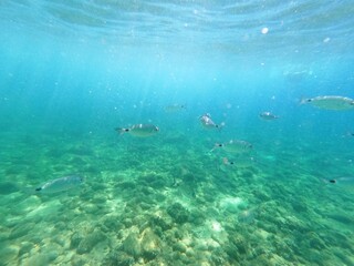 Calella de Palafrugell, Gerona, Cataluña, España