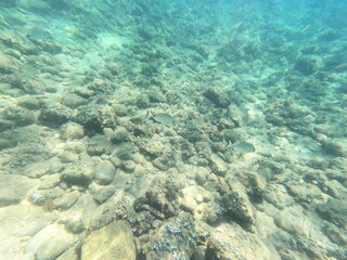 Calella de Palafrugell, Gerona, Cataluña, España