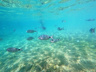 Calella de Palafrugell, Gerona, Cataluña, España