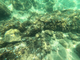 Calella de Palafrugell, Gerona, Cataluña, España