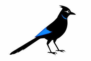 a blue jay silhouette vector illustration 