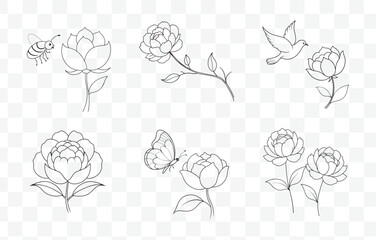 Print Peony Line Art Vector Set Elegant Floral Illustrations for Design and Decoration Projects