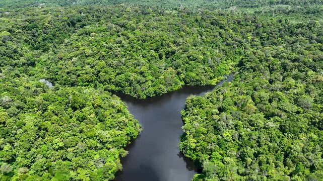 Amazon Forest At Manaus Amazonas Brazil. Capturing The Effects Of Flooding In The Amazon Rainforest. Forest Flyover Amazon Green. Exterior Amazon Panoramic View. Manaus Amazonas.