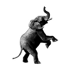 Elephant hand drawing vector isolated on background.