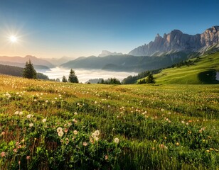 Fototapeta premium üppige grüne Landschaft bei Sonnenaufgang. Im Vordergrund befindet sich eine blühende Blumenwiese, während sich im Hintergrund majestätische Berge unter einem klaren, blauen Himmel erheben. Nebel