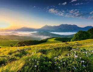 Obraz premium üppige grüne Landschaft bei Sonnenaufgang. Im Vordergrund befindet sich eine blühende Blumenwiese, während sich im Hintergrund majestätische Berge unter einem klaren, blauen Himmel erheben. Nebel