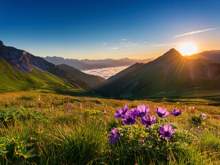 Obraz premium spring in the mountains