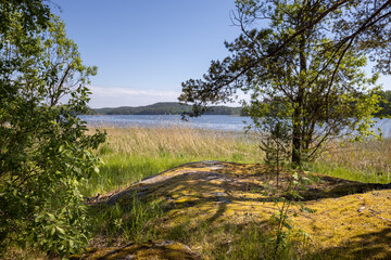 A beautiful lake with a forest in the background