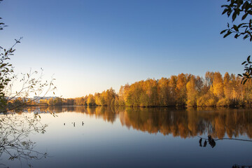 A beautiful lake with trees in the background